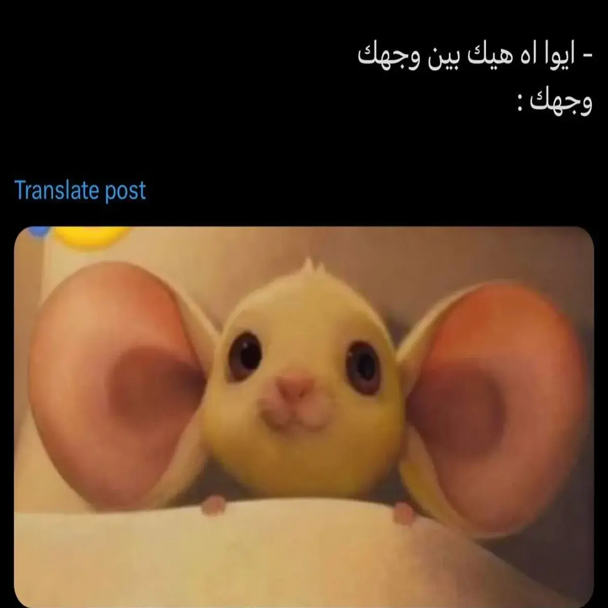 مخلوق صغير أصفر بآذان كبيرة جداً ينظر ببراءة