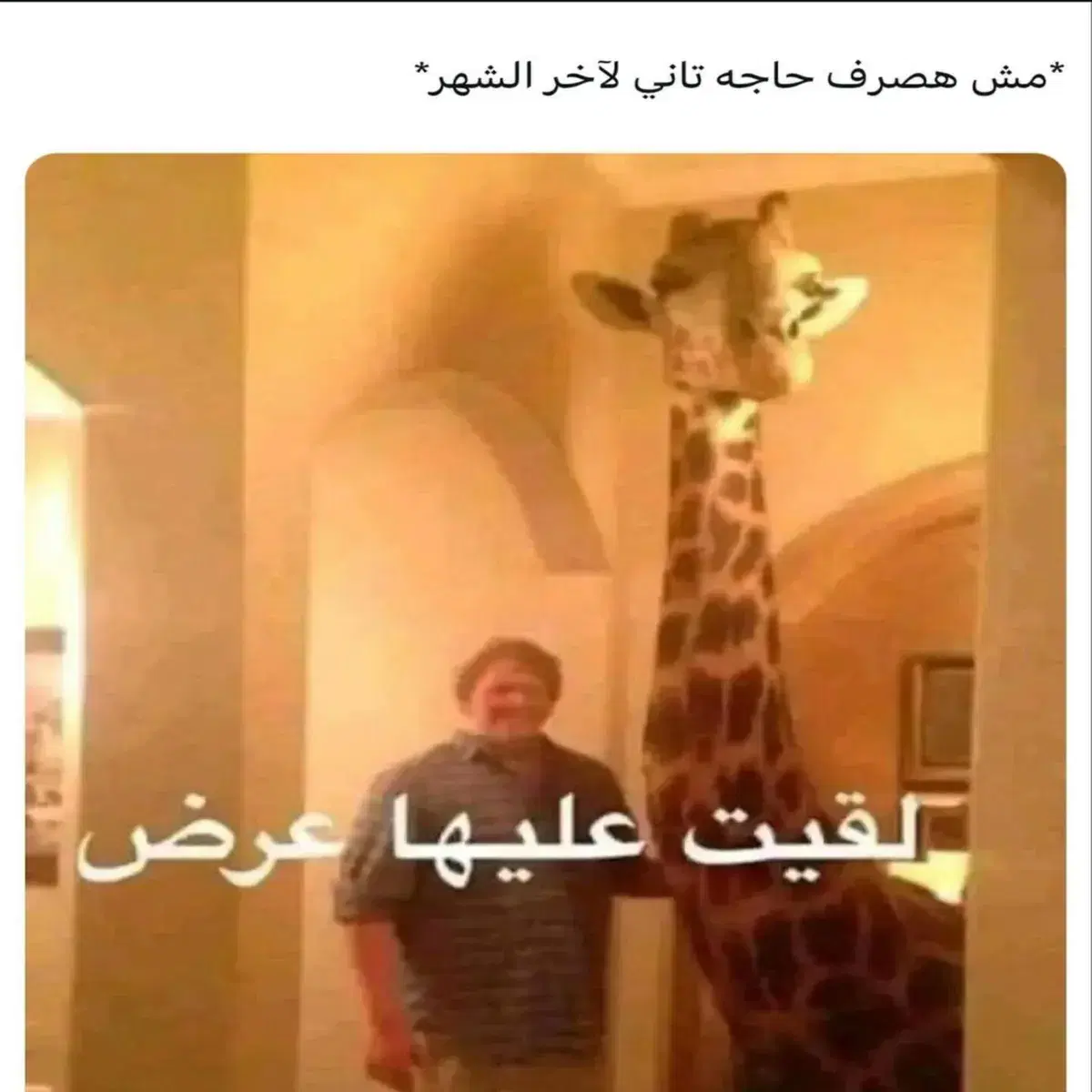 رجل يقف داخل منزله بجانب زرافة طويلة