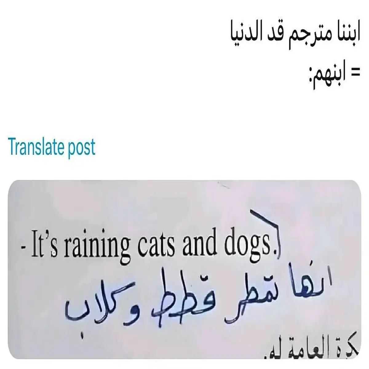 ورقة امتحان مكتوب فيها ترجمة حرفية لجملة إنجليزية