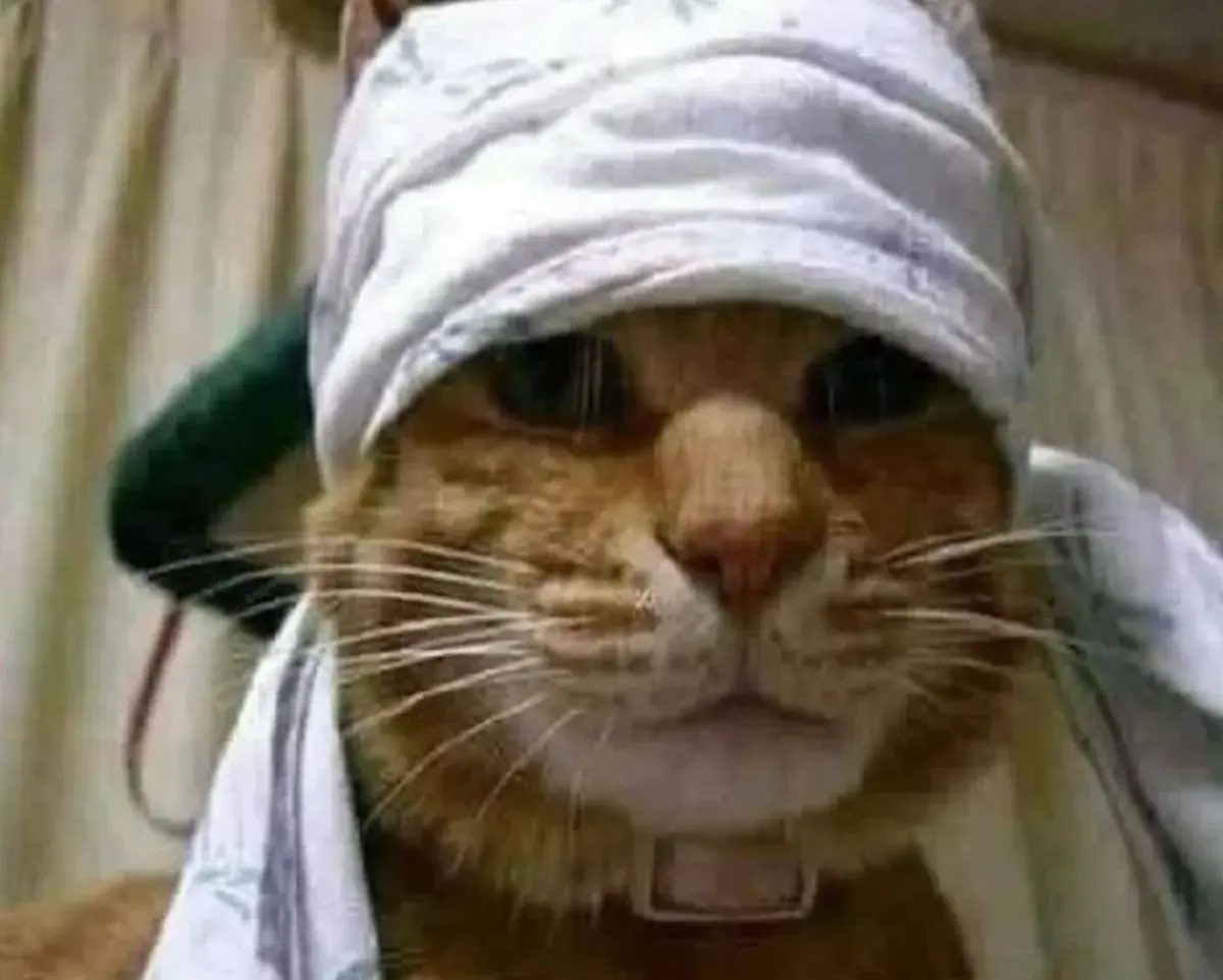 قالب ميم فارغ: عارفين معجون السنان؟ أنا معجون أكثر منه