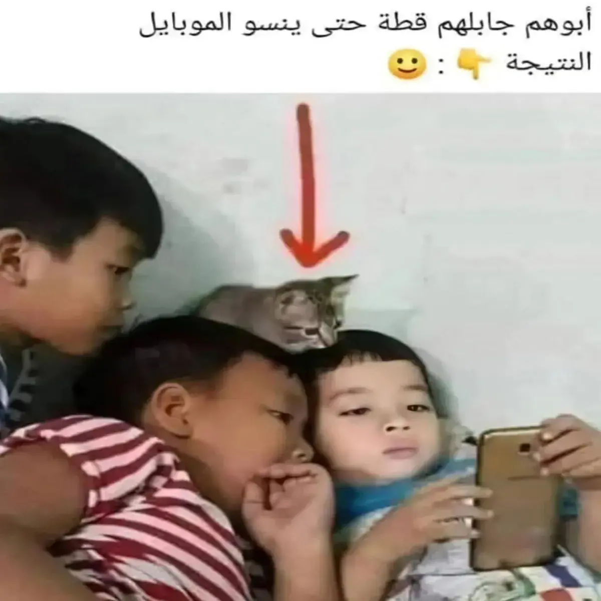 ثلاثة أطفال ينظرون لشاشة موبايل وقطة جالسة فوق رأس أحدهم تنظر معهم