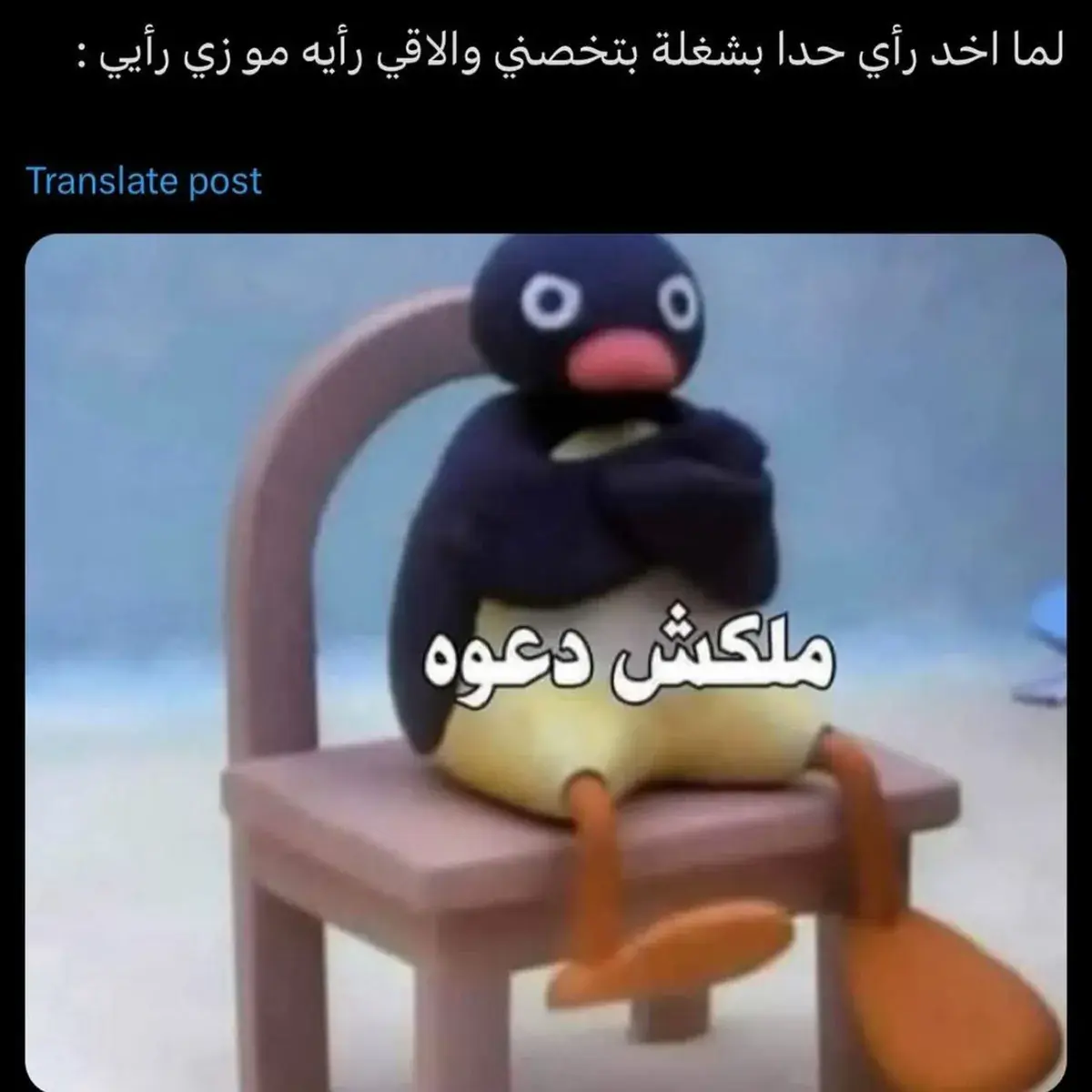 بينغو البطريق جالس على كرسي ومكتف يديه بانزعاج